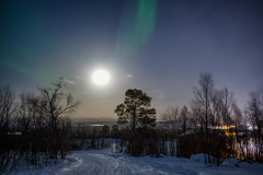 Aurora 