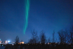 L1000941-