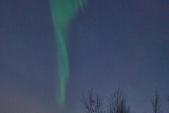 L1000944-