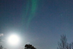 L1000945-