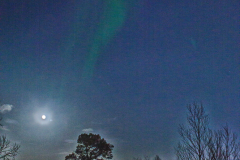 L1000947-