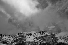 L1000344-
