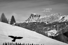 L1000448-