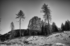L1007673-