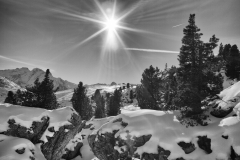 L1007724-
