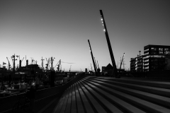 L1000208