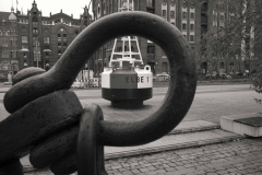 L1007499-