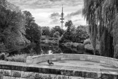 L1007909-