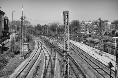 LMEL0183-