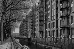 LMEL0230-