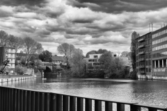 LMEL0399-
