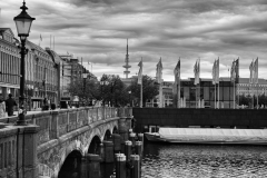 LMEL0507-