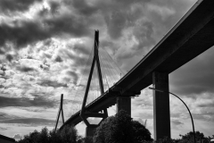 LMEL0645-