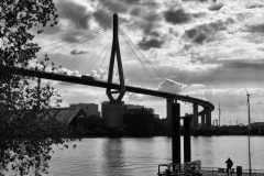 LMEL0647-