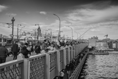 L1000687-