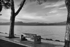 L1007862-