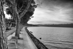 L1007864-