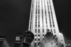 DSC_0673-