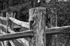 DSC3113-