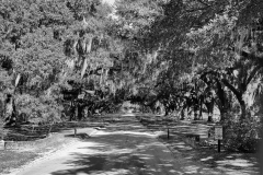 DSC3388-2