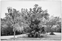 DSC_4080-