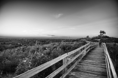 DSC_4707-