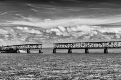 DSC_4948-