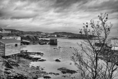 L1005960-