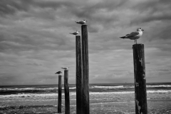 L1006196-