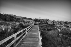 L1006253-