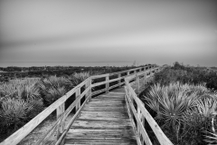 L1006320-