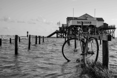 L1000764-