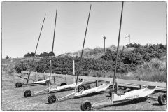 L1007356-