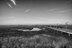 L1007843-