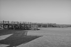 L1008249-