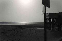 L1008253-