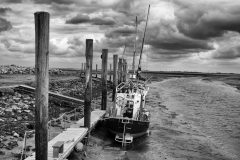 LMEL0734-