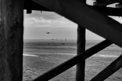 LMEL0779-